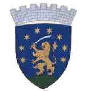 CSAL�DFA 14 ZANI (t�r�kkopp�nyi)